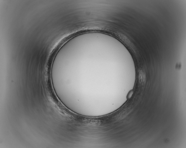 X0000115080676200911171154