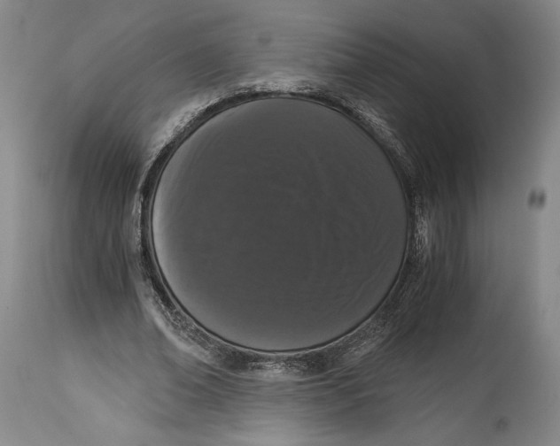 X0000115080678200911171154