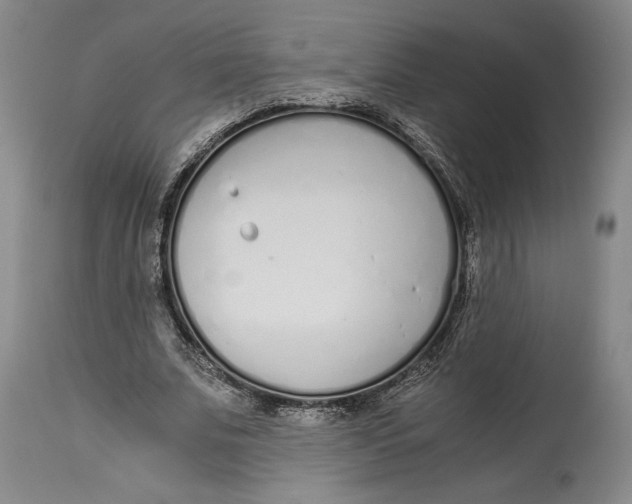X0000115080679200911171154