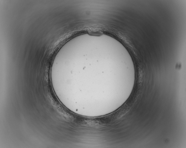 X0000115080681200911171154