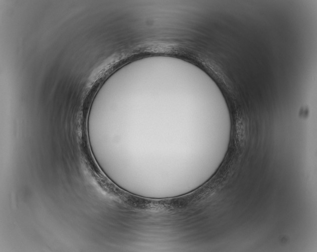 X0000115080682200911171154