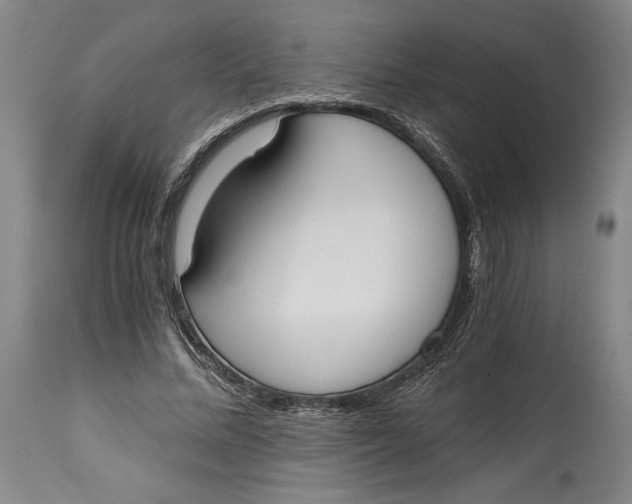 X0000115080684200911171154