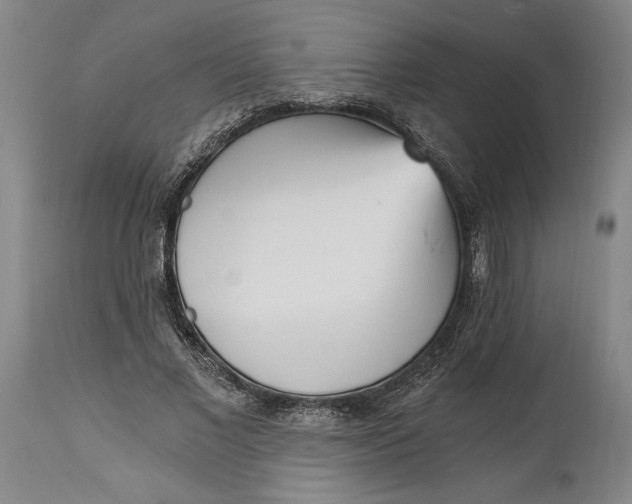 X0000115080685200911171154
