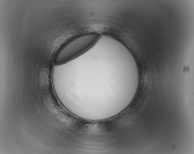 X0000115080688200911171154