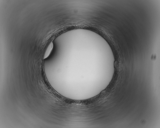 X0000115080689200911171154