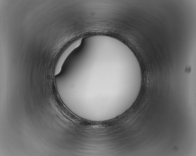 X0000115080692200911171154