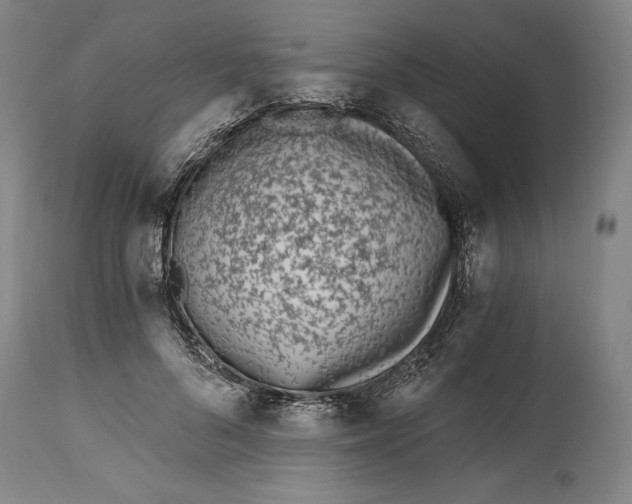 X0000115080696200911171154