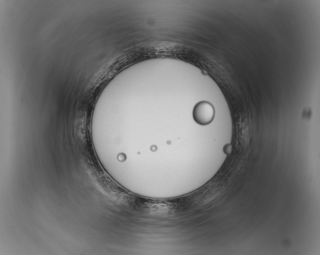 X0000115080698200911171154