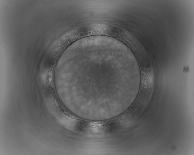 X0000115080701200911171154