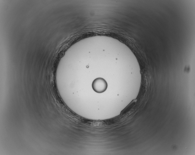 X0000115080705200911171154