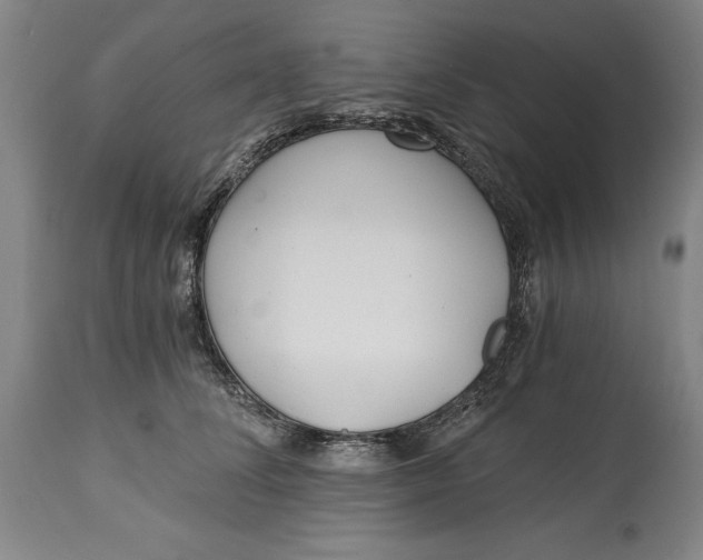 X0000115080708200911171154