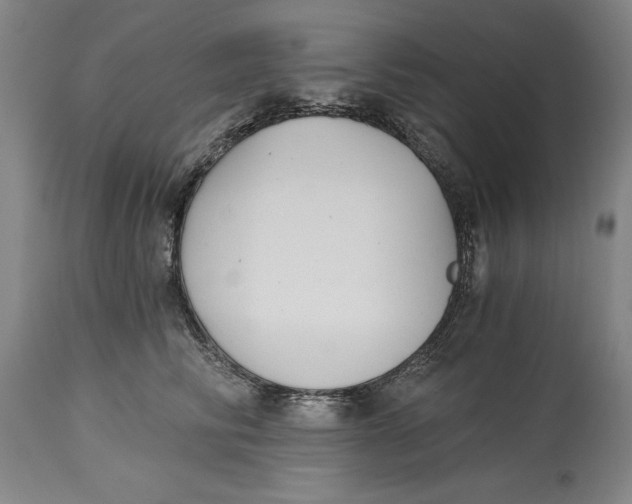 X0000115080710200911171154