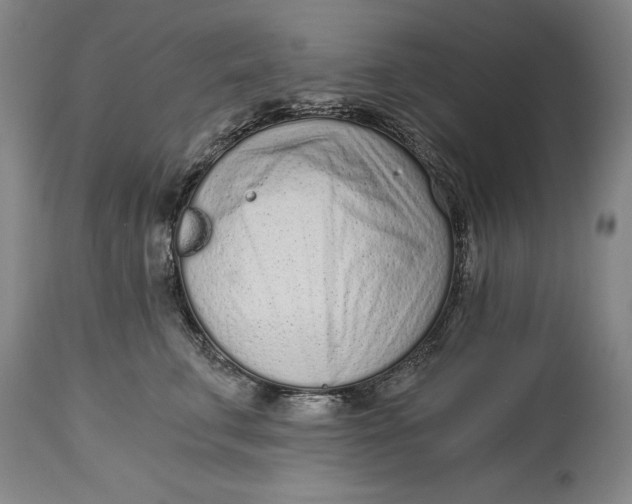X0000115080711200911171154