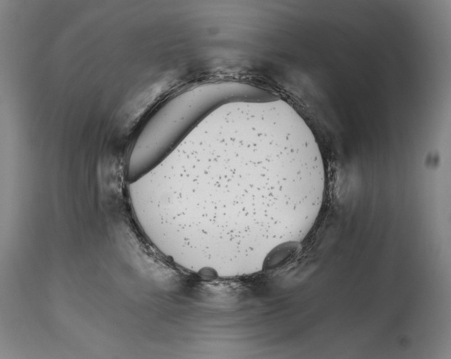 X0000115080712200911171154