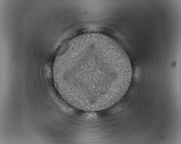 X0000115080715200911171154