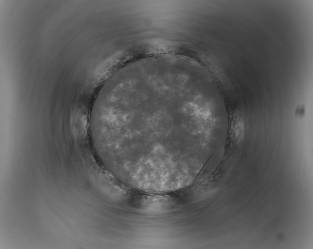 X0000115080716200911171154