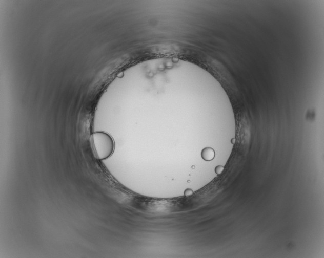 X0000115080717200911171153