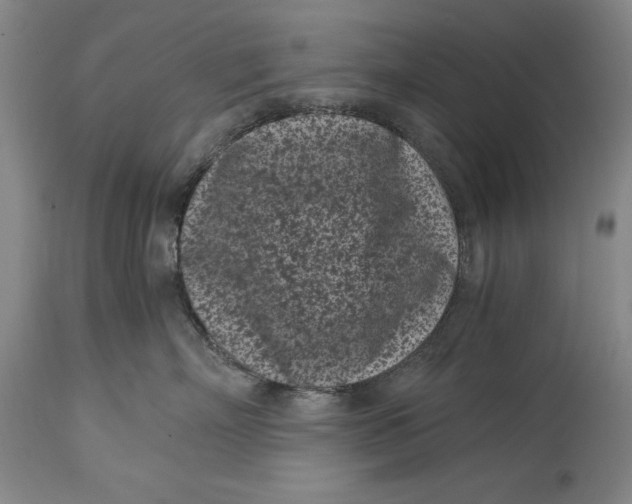 X0000115080718200911171153