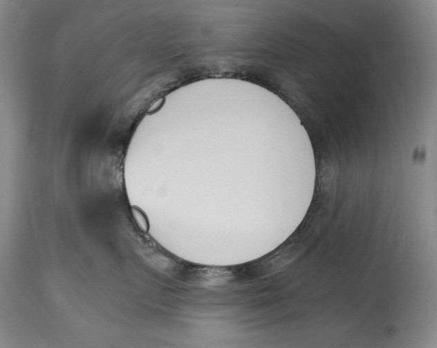 X0000115080719200911171153