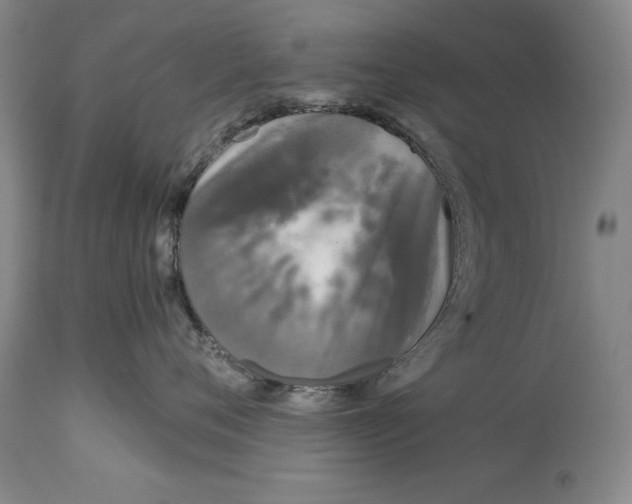 X0000115080720200911171153