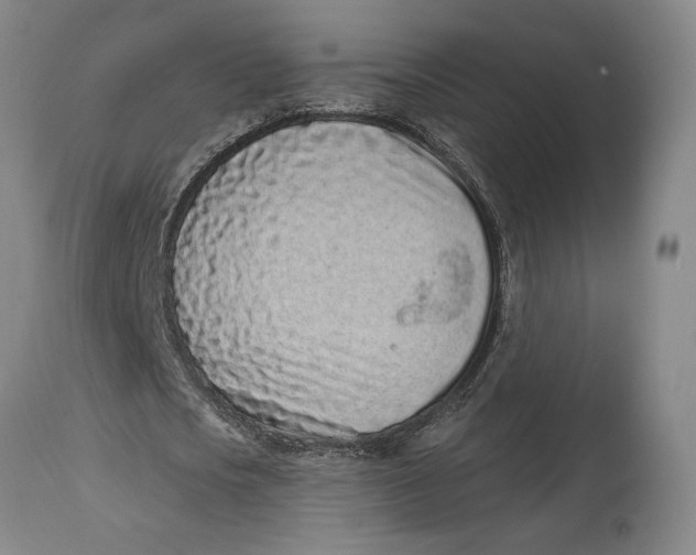 X0000115080721200911171153