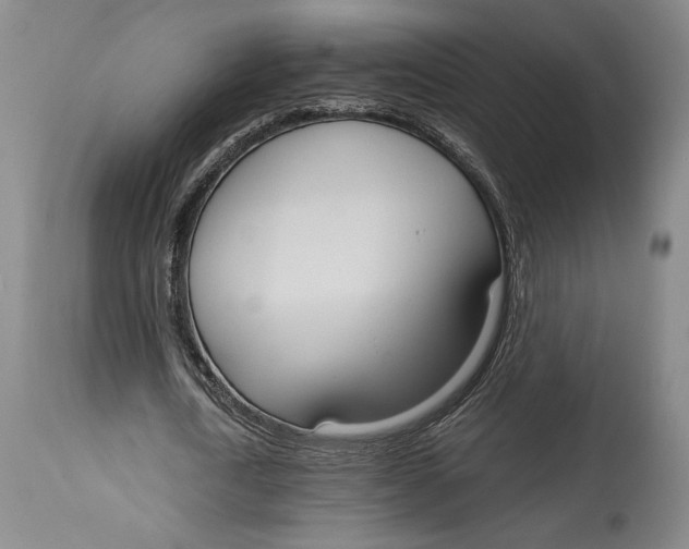 X0000115080722200911171153