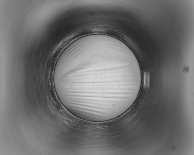 X0000115080723200911171153