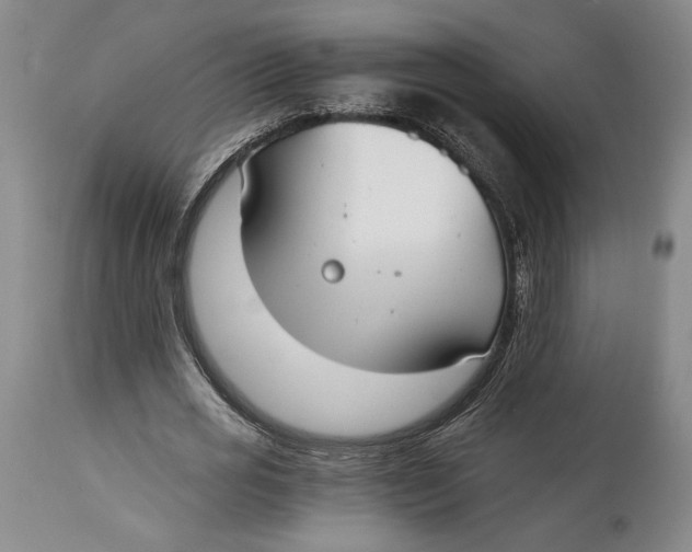 X0000115080725200911171153
