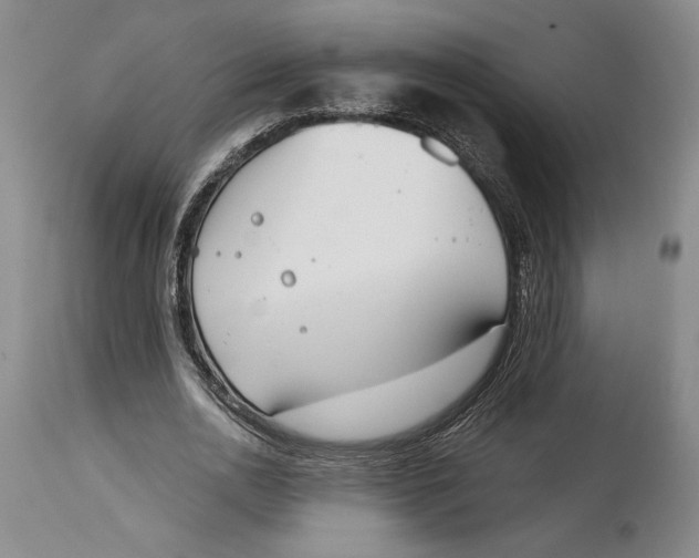X0000115080726200911171153