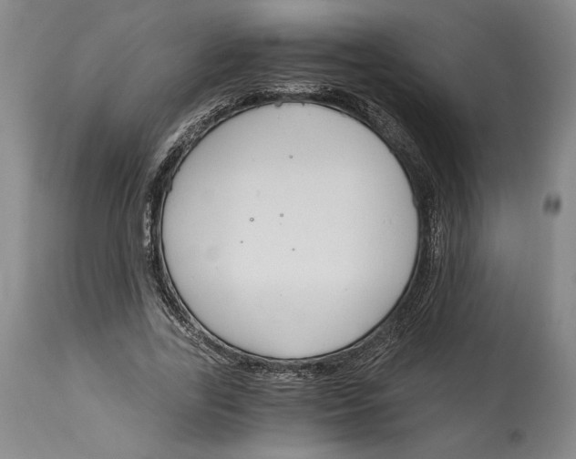 X0000115080731200911171153