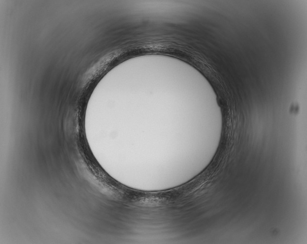 X0000115080734200911171153