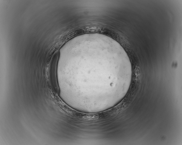 X0000115080745200911171153