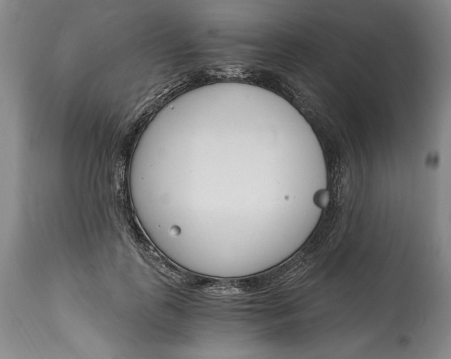 X0000115080747200911171153