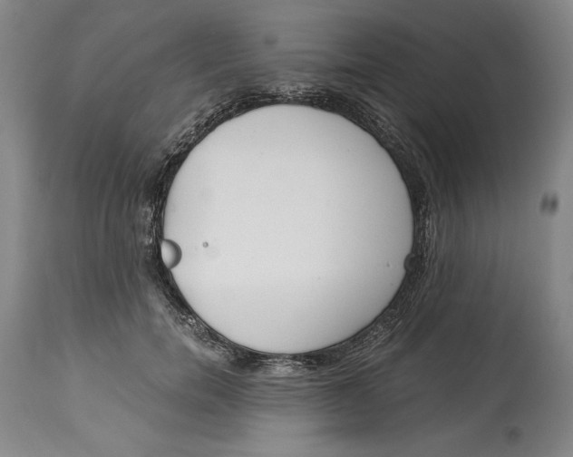 X0000115080750200911171153