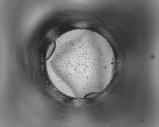 X0000115080762200911171153