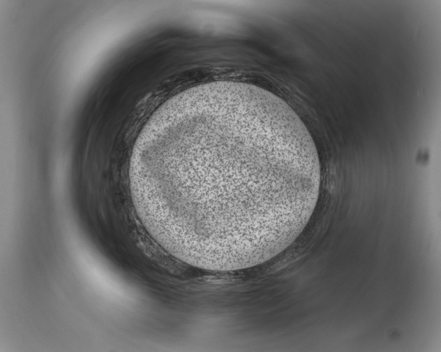 X0000115080763200911171153