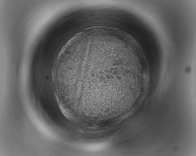 X0000115080765200911171153