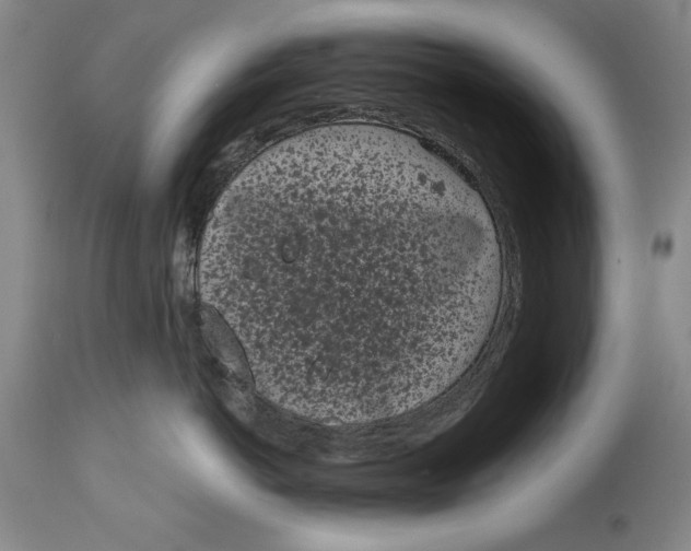 X0000115080766200911171153