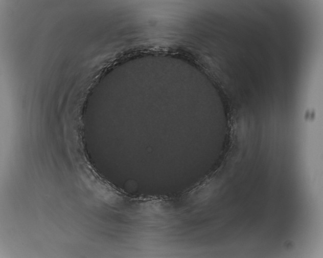 X0000115080769200911171153