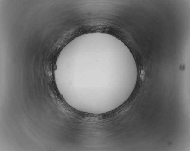 X0000115080771200911171153