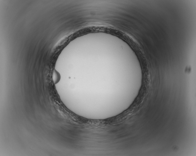 X0000115080775200911171153