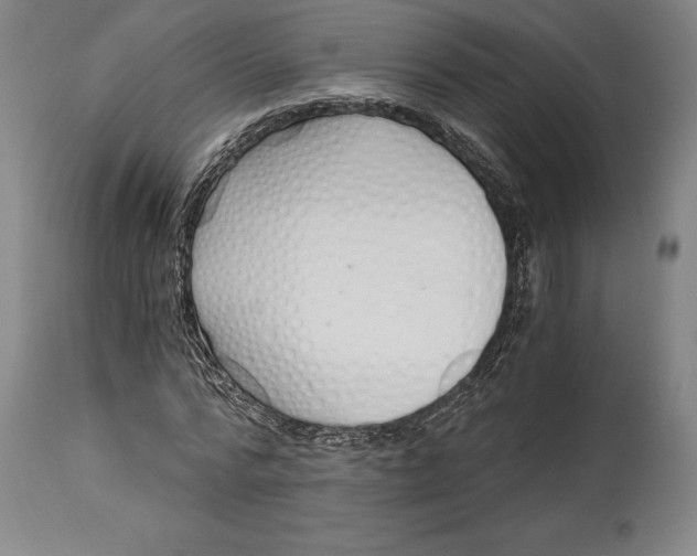 X0000115080776200911171153