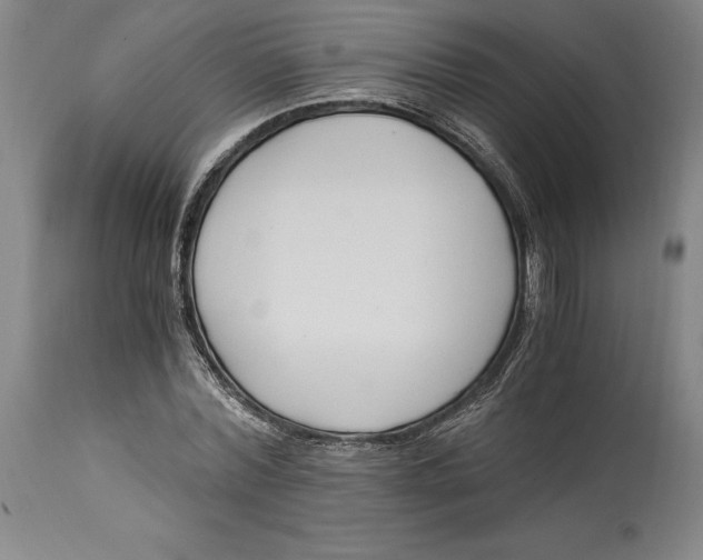 X0000115080780200911171153