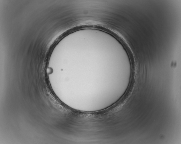 X0000115080783200911171153
