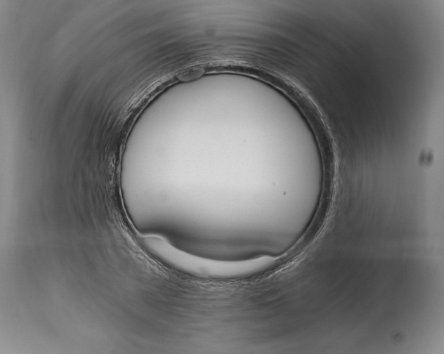 X0000115080785200911171153