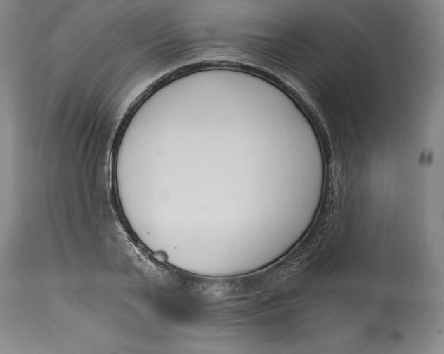 X0000115080791200911171152