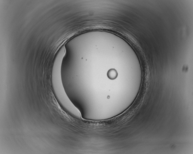 X0000115080793200911171152