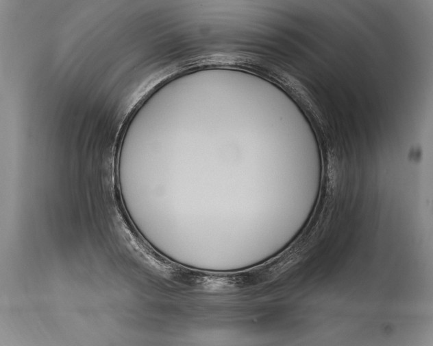 X0000115080794200911171152