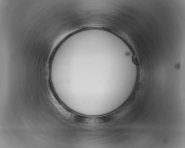 X0000115080795200911171152