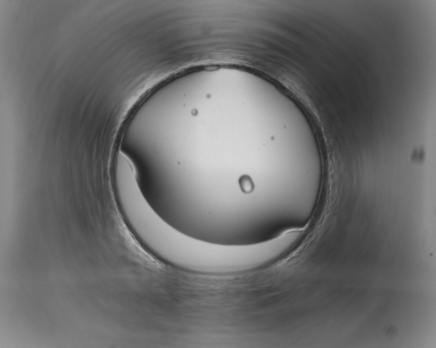 X0000115080797200911171152